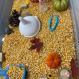 Autumn Sensory Bin